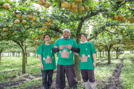 15-7 栃木県那須烏山市産大野果樹農園のにっこり梨  ｜ 先行予約 なし 梨 にっこり 果物 くだもの フルーツ ナシ 栃木県 ※2025年10月上旬～10月下旬頃に順次発送予定 ※北海道・沖縄・離島への配送不可