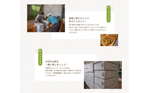 8-7 栃木県那須烏山産にっこり梨100％ジュース2本セット