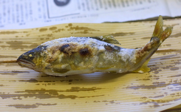 10-45 (有)あゆの里 矢沢のヤナ お食事券3,000円分（ヤナ漁体験無料券付き）