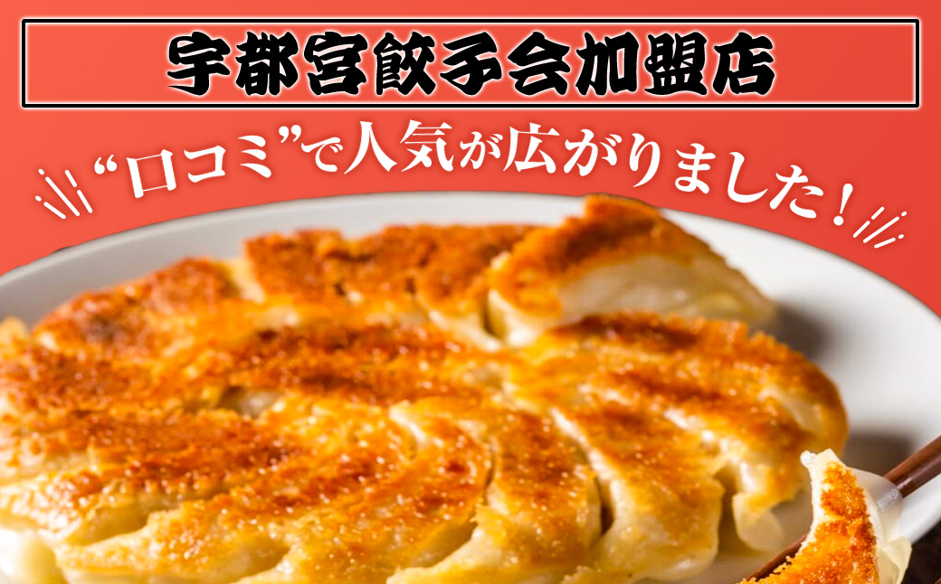 8-3 玉ちゃん餃子8人前（24個×2袋) ぎょうざ ギョーザ おつまみ おかず 惣菜