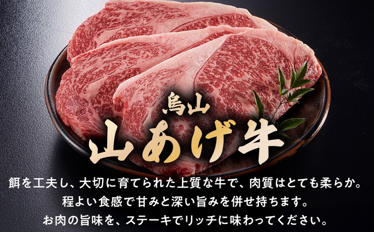 23-6　烏山山あげ牛サーロインステーキ 200g×2枚
