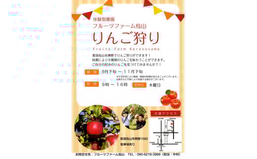 10-36 りんご収穫体験 ｜ りんご リンゴ りんご狩り 体験 収穫体験 チケット フルーツ 果物 くだもの　※2025年8月下旬～11月下旬頃に順次発送予定