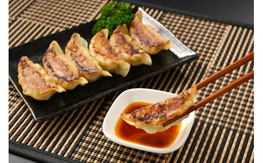 8-3 玉ちゃん餃子8人前（24個×2袋) ぎょうざ ギョーザ おつまみ おかず 惣菜