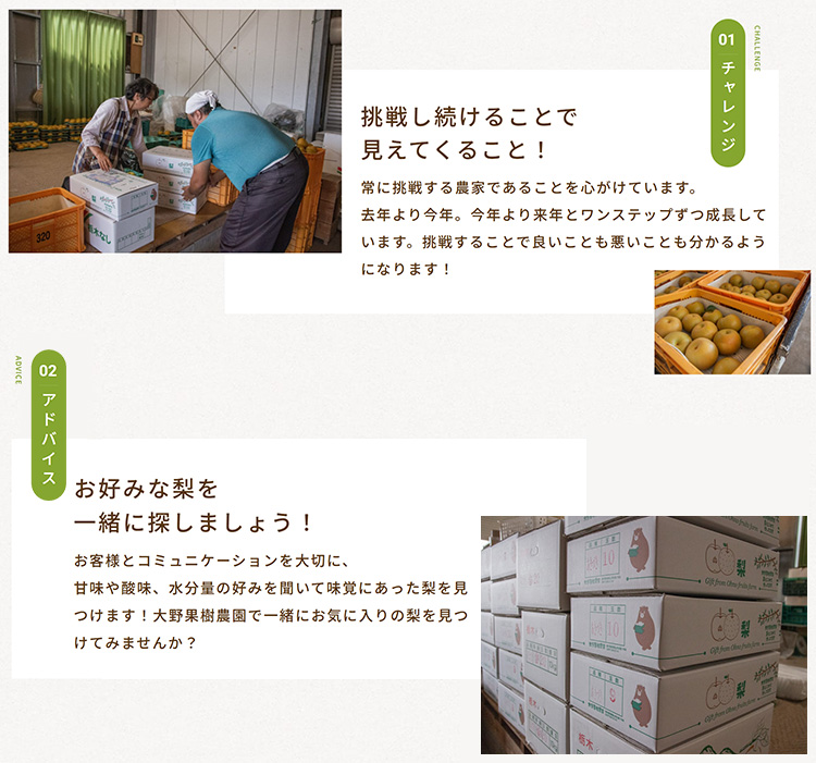 15-7 栃木県那須烏山市産大野果樹農園のにっこり梨  ｜ 先行予約 なし 梨 にっこり 果物 くだもの フルーツ ナシ 栃木県 ※2025年10月上旬～10月下旬頃に順次発送予定 ※北海道・沖縄・離島への配送不可