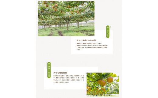 8-7 栃木県那須烏山産にっこり梨100％ジュース2本セット