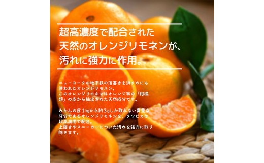 5-5 ＼上履き洗いをカンタン・時短／プロ絶賛の上履き用洗剤 クツピカ （せきぐちさんちの洗剤）1本