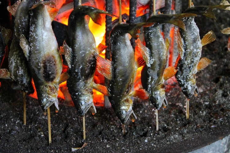 10-45 (有)あゆの里 矢沢のヤナ お食事券3,000円分（ヤナ漁体験無料券付き）