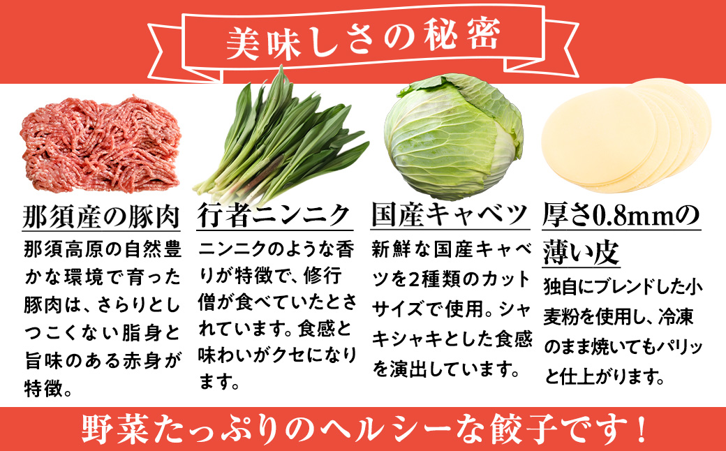 １０－１６　玉ちゃん餃子３種詰め合わせ