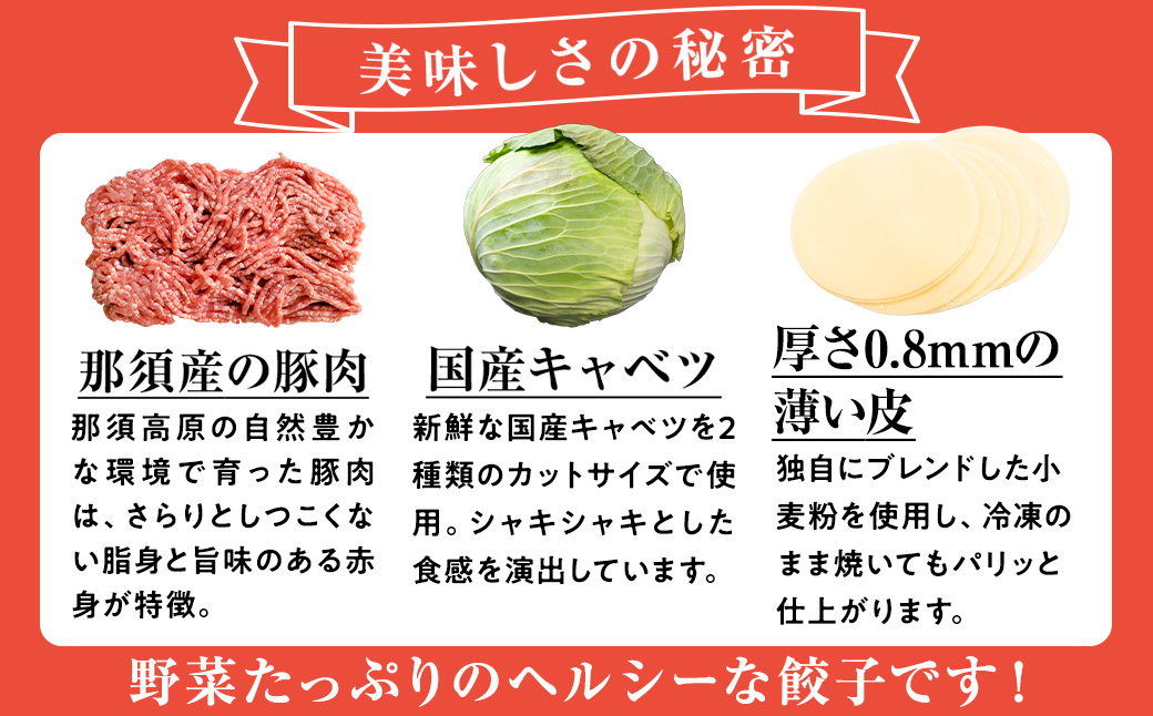 8-3 玉ちゃん餃子8人前（24個×2袋) ぎょうざ ギョーザ おつまみ おかず 惣菜