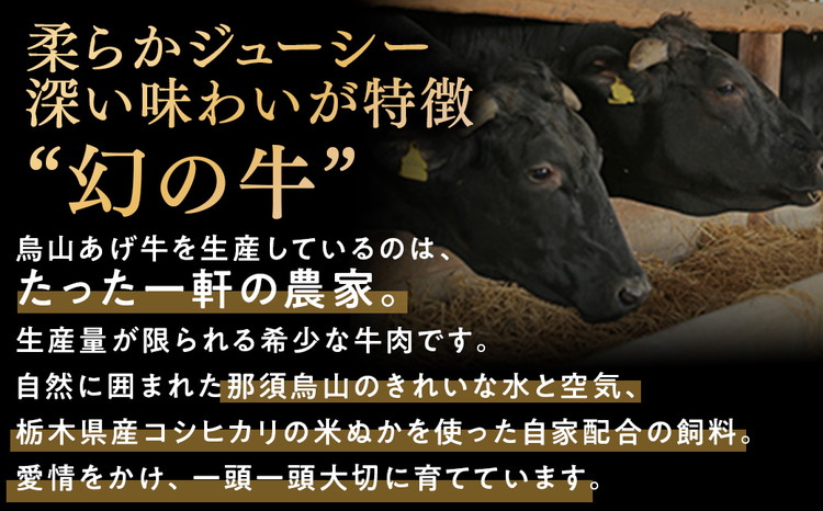 12-4　烏山山あげ牛サーロインステーキ200g