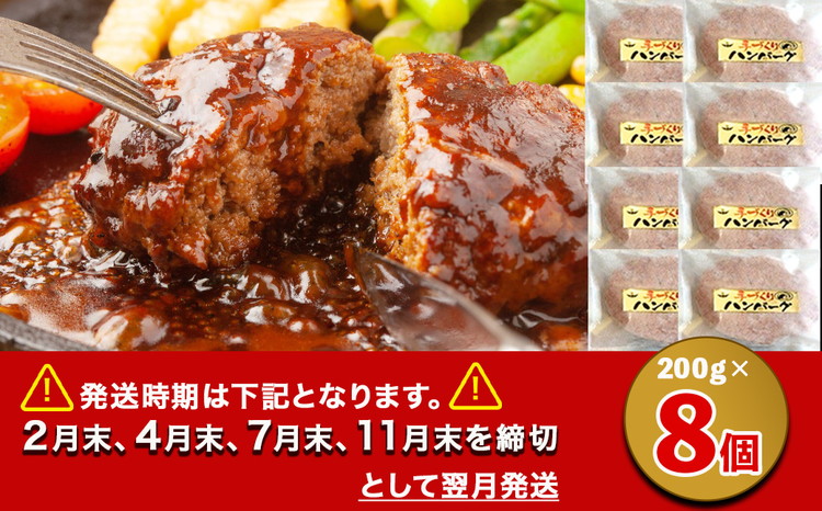 23-4　とちぎ和牛ハンバーグ 200g×8個 ｜ 栃木県 冷凍 個包装 肉汁 牛 ハンバーグ