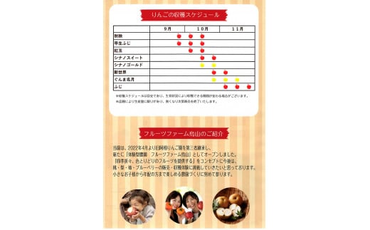 10-36 りんご収穫体験 ｜ りんご リンゴ りんご狩り 体験 収穫体験 チケット フルーツ 果物 くだもの　※2025年8月下旬～11月下旬頃に順次発送予定