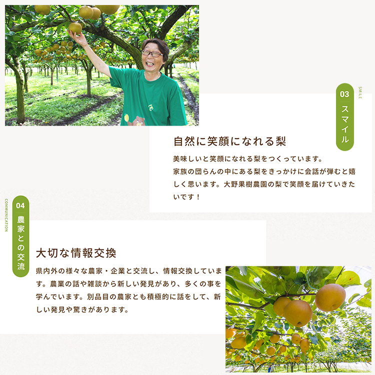 15-7 栃木県那須烏山市産大野果樹農園のにっこり梨  ｜ 先行予約 なし 梨 にっこり 果物 くだもの フルーツ ナシ 栃木県 ※2025年10月上旬～10月下旬頃に順次発送予定 ※北海道・沖縄・離島への配送不可