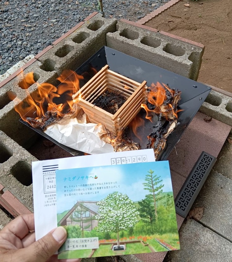 4-1 ペット供養お焚き上げ用ハガキセット（春・秋彼岸） | ペット 供養 動物供養 追悼 ハガキ 葉書 手紙 お焚き上げ 樹木葬 小型