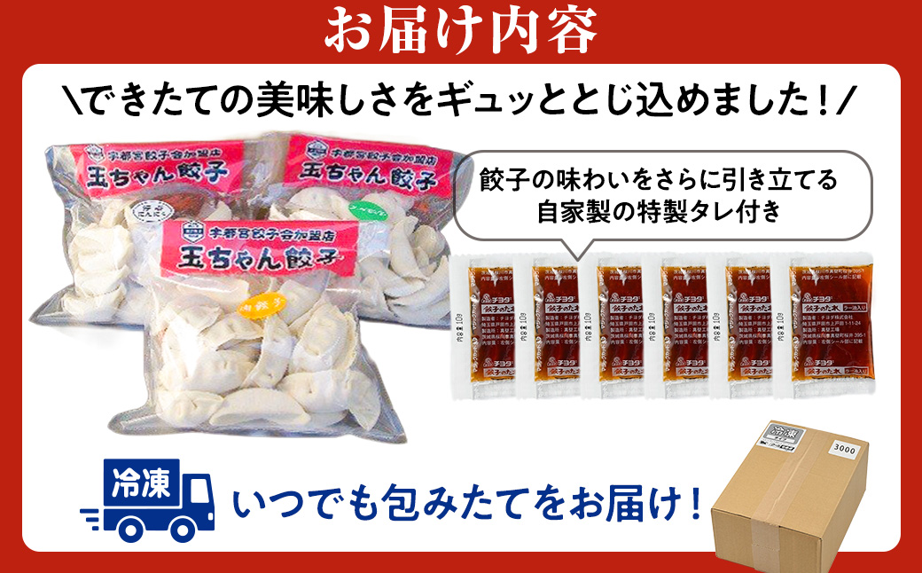 １０－１６　玉ちゃん餃子３種詰め合わせ