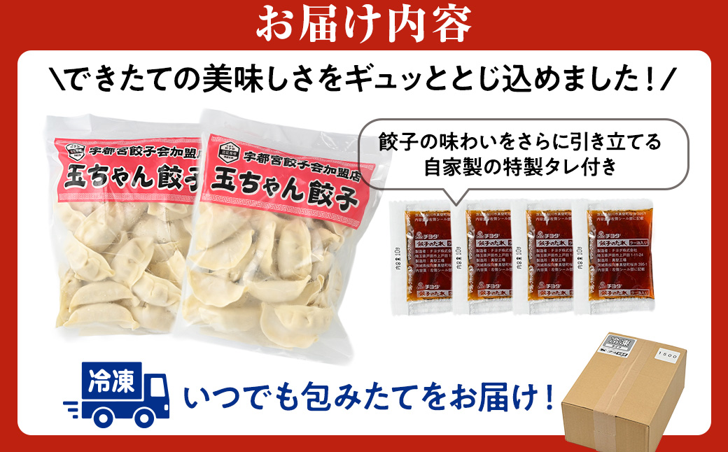 8-3 玉ちゃん餃子8人前（24個×2袋) ぎょうざ ギョーザ おつまみ おかず 惣菜
