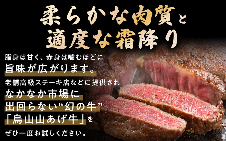 12-4　烏山山あげ牛サーロインステーキ200g