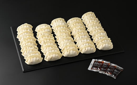 45-1【定期便6回】玉ちゃん餃子8人前（24個×2袋) | 餃子 ぎょうざ ギョウザ ギョーザ おつまみ おかず 惣菜 中華 点心 冷凍 国産※着日指定不可