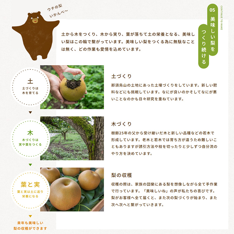 15-7 栃木県那須烏山市産大野果樹農園のにっこり梨  ｜ 先行予約 なし 梨 にっこり 果物 くだもの フルーツ ナシ 栃木県 ※2025年10月上旬～10月下旬頃に順次発送予定 ※北海道・沖縄・離島への配送不可