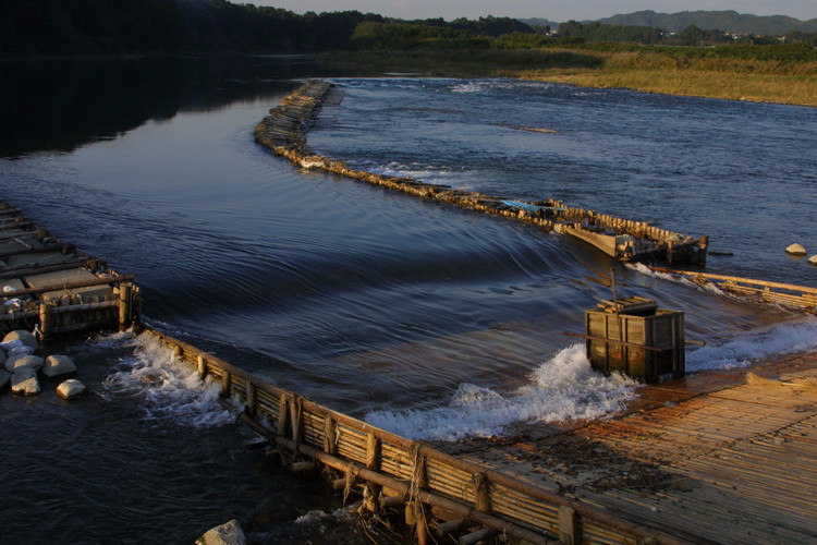 28-1 最高級 那珂川の天然あゆ1kg（子持ち・白子持ち）