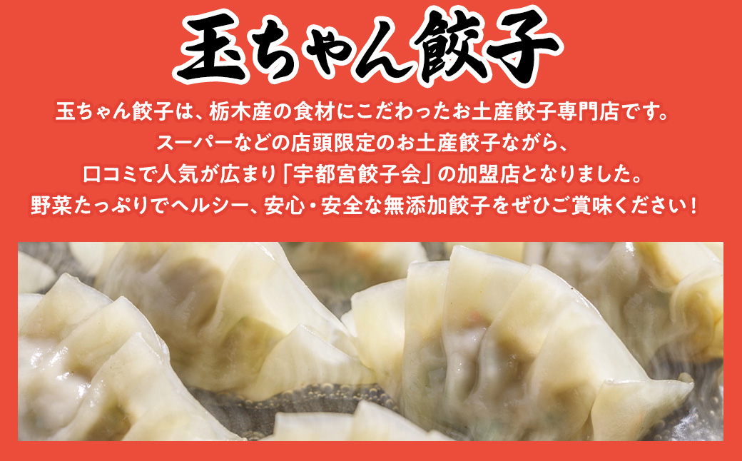 23-5【定期便3回】玉ちゃん餃子8人前（24個×2袋) | 餃子 ぎょうざ ギョウザ ギョーザ おつまみ おかず 惣菜 中華 点心 冷凍 国産※着日指定不可