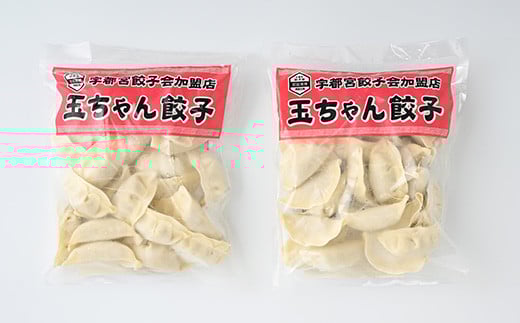90-1【定期便12回】玉ちゃん餃子8人前（24個×2袋) | 餃子 ぎょうざ ギョウザ ギョーザ おつまみ おかず 惣菜 中華 点心 冷凍 国産