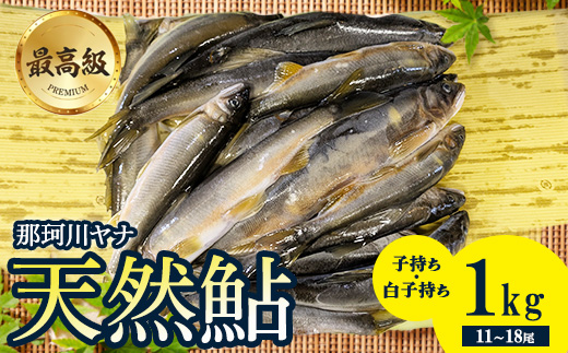 28-1 最高級 那珂川の天然あゆ1kg（子持ち・白子持ち）