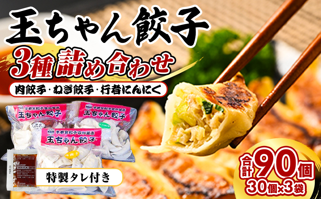１０－１６　玉ちゃん餃子３種詰め合わせ