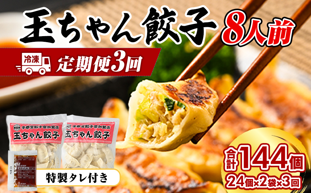 23-5【定期便3回】玉ちゃん餃子8人前（24個×2袋) | 餃子 ぎょうざ ギョウザ ギョーザ おつまみ おかず 惣菜 中華 点心 冷凍 国産※着日指定不可
