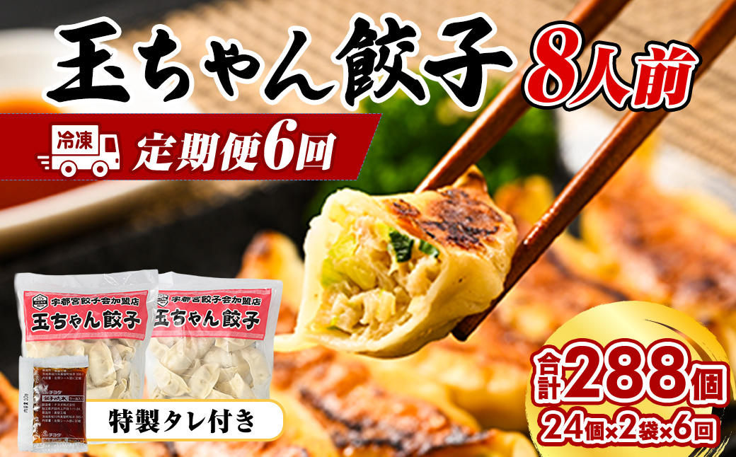 45-1【定期便6回】玉ちゃん餃子8人前（24個×2袋) | 餃子 ぎょうざ ギョウザ ギョーザ おつまみ おかず 惣菜 中華 点心 冷凍 国産※着日指定不可