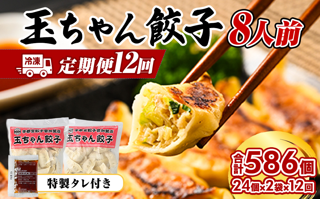 90-1【定期便12回】玉ちゃん餃子8人前（24個×2袋) | 餃子 ぎょうざ ギョウザ ギョーザ おつまみ おかず 惣菜 中華 点心 冷凍 国産
