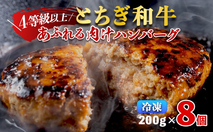 23-4　とちぎ和牛ハンバーグ 200g×8個 ｜ 栃木県 冷凍 個包装 肉汁 牛 ハンバーグ