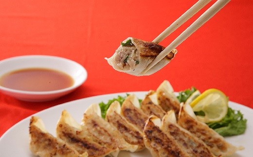 １０－１６　玉ちゃん餃子３種詰め合わせ