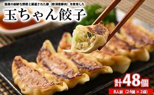 8-3 玉ちゃん餃子8人前（24個×2袋) ぎょうざ ギョーザ おつまみ おかず 惣菜