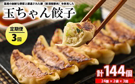 23-5【定期便3回】玉ちゃん餃子8人前（24個×2袋) | 餃子 ぎょうざ ギョウザ ギョーザ おつまみ おかず 惣菜 中華 点心 冷凍 国産※着日指定不可