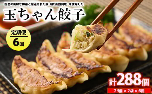 45-1【定期便6回】玉ちゃん餃子8人前（24個×2袋) | 餃子 ぎょうざ ギョウザ ギョーザ おつまみ おかず 惣菜 中華 点心 冷凍 国産※着日指定不可
