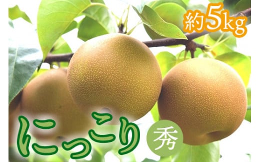 14-8【期間限定】梨（にっこり）秀　約5kg（7玉程度） ｜ なし フルーツ 果物 新鮮 デザート　※2025年10月中旬頃より順次発送予定