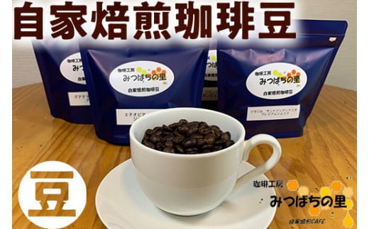 10-28　自家焙煎 珈琲豆 100g×4種類　豆 ｜ 厳選 コーヒー ブラジル コロンビア グアテマラ エチオピア