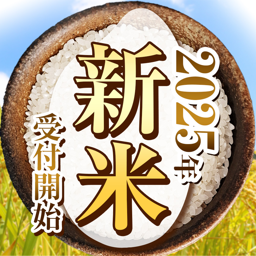 栃木県産 ミルキークイーン 10kg | 5kg小分け 新米 米 お米 こめ コメ ミルキークイン 精米 白米 特A 人気 お買い得 送料無料 限定 栃木県共通返礼品 令和7年産 栃木県産 栃木県 下野市