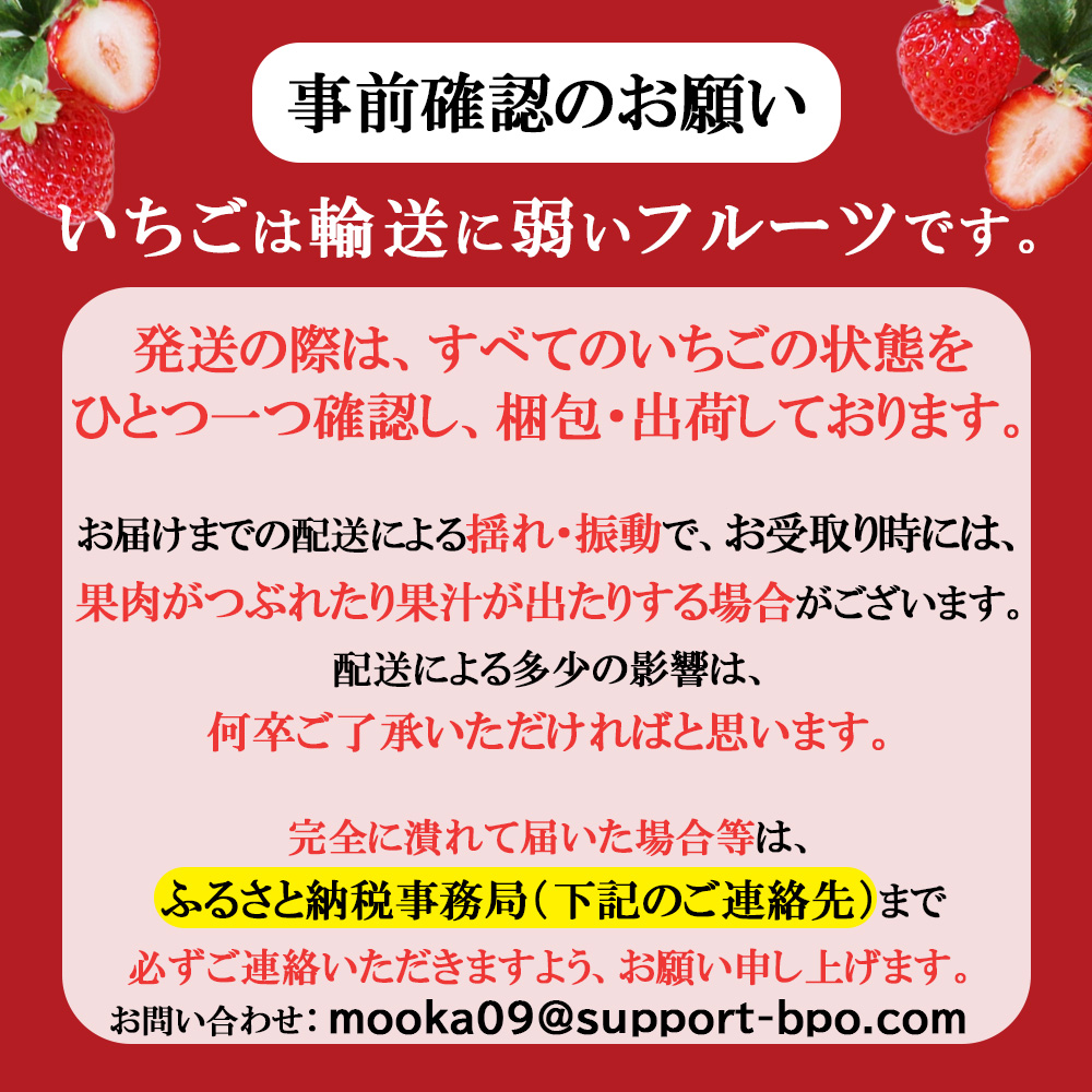 【ふるさと納税】【先行予約】紅白いちご300g×2