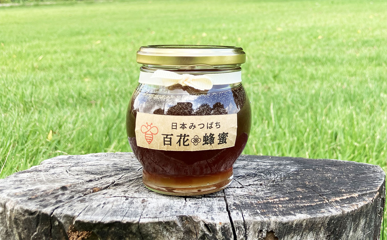 【ふるさと納税】【数量限定】 日本蜜蜂の百花蜂蜜（200g入×2瓶） | はちみつ ハチミツ ミツバチ 濃厚 無添加  栃木県 下野市 送料無料