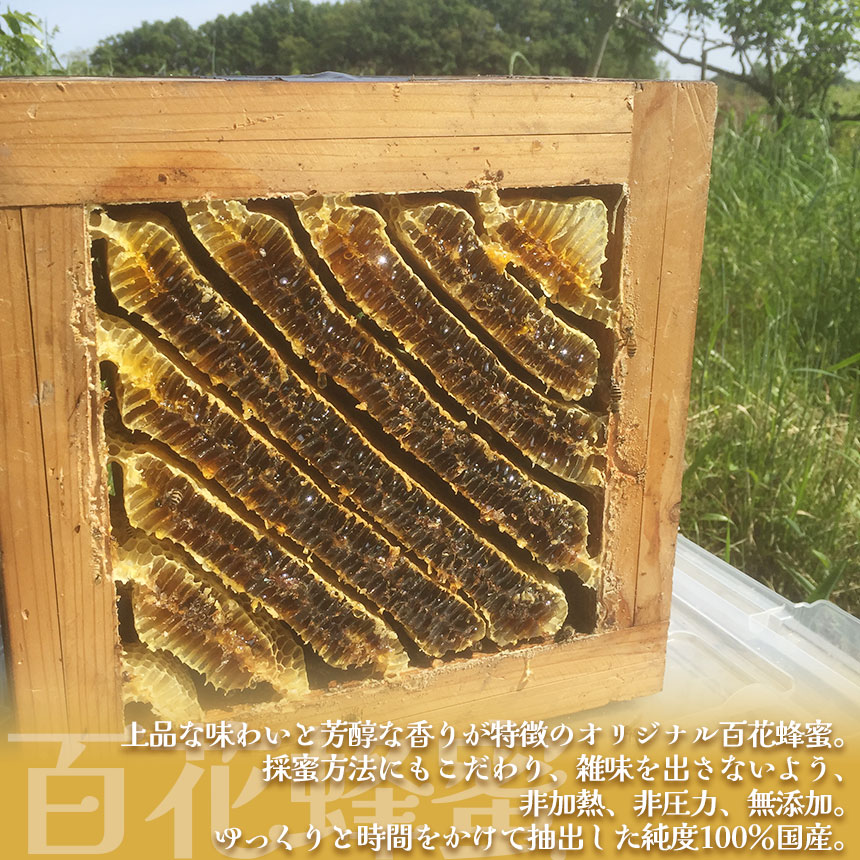 【ふるさと納税】【定期便6回】【数量限定】 日本蜜蜂の百花蜂蜜（200g入×6瓶） | はちみつ ハチミツ ミツバチ 濃厚 無添加  栃木県 下野市 送料無料