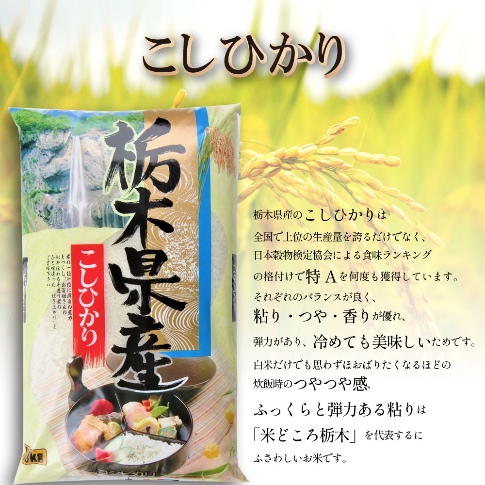 栃木県産 コシヒカリ 20kg | 5kg小分け 新米 米 お米 こめ コメ こしひかり 精米 白米 特A 人気 お買い得 送料無料 限定 栃木県共通返礼品 令和7年産 栃木県産 栃木県 下野市
