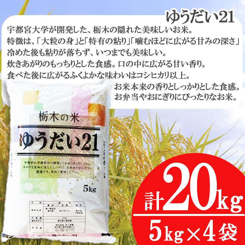 栃木県産 ゆうだい21 20kg | 5kg小分け 新米 米 お米 こめ コメ ゆうだい ユウダイ 精米 白米 特A 人気 お買い得 送料無料 限定 栃木県共通返礼品 令和7年産 栃木県産 栃木県 下野市