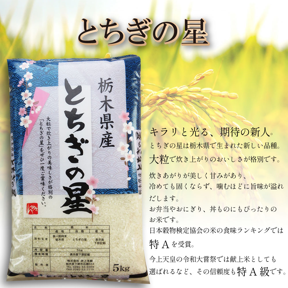 栃木県産 とちぎの星 10kg | 5kg小分け 新米 米 お米 こめ コメ とちぎのほし 精米 白米 特A 人気 お買い得 送料無料 限定 栃木県共通返礼品 令和7年産 栃木県産 栃木県 下野市