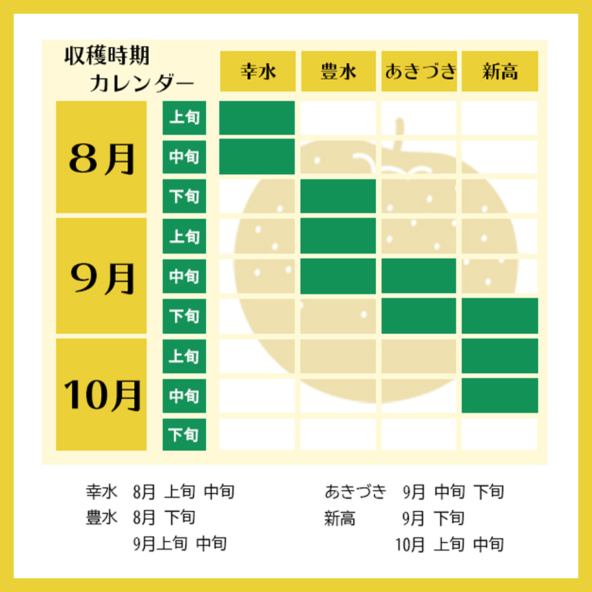 【×在庫なし】【栃木県共通返礼品｜2024年先行予約】 豊水 5㎏　10～16玉 | 梨 フルーツ 果物 栃木県 特産品
