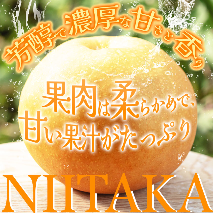 【×在庫なし】【栃木県共通返礼品｜2024年先行予約】 新高 5㎏　12～18玉 | 梨 フルーツ 果物 栃木県 特産品
