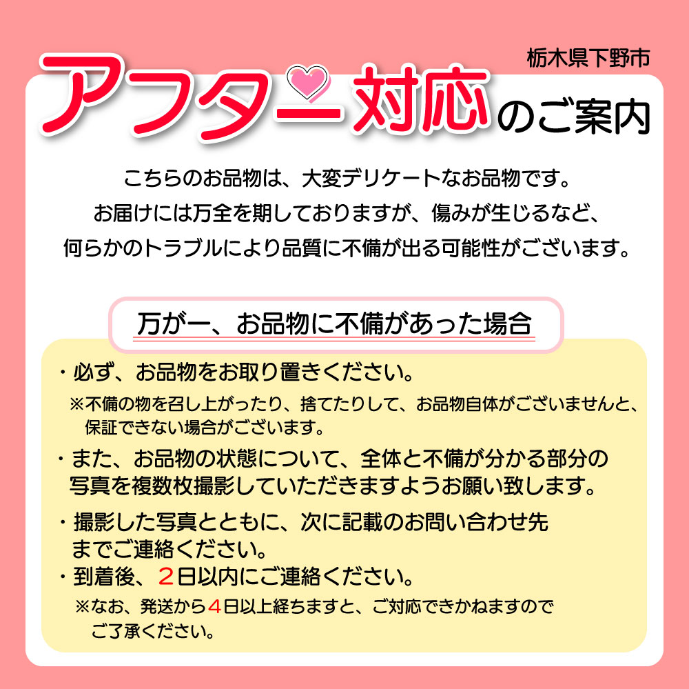 【2026年先行予約】【栃木県共通返礼品】日本一のいちご生産量を誇るJAはが野が厳選とちあいか 平パック4P | 送料無料 いちご フルーツ 甘い ジューシー かき氷 苺 ｲﾁｺﾞ ハート ハート型 ﾊｰﾄ 断面 果物 栃木県 下野市