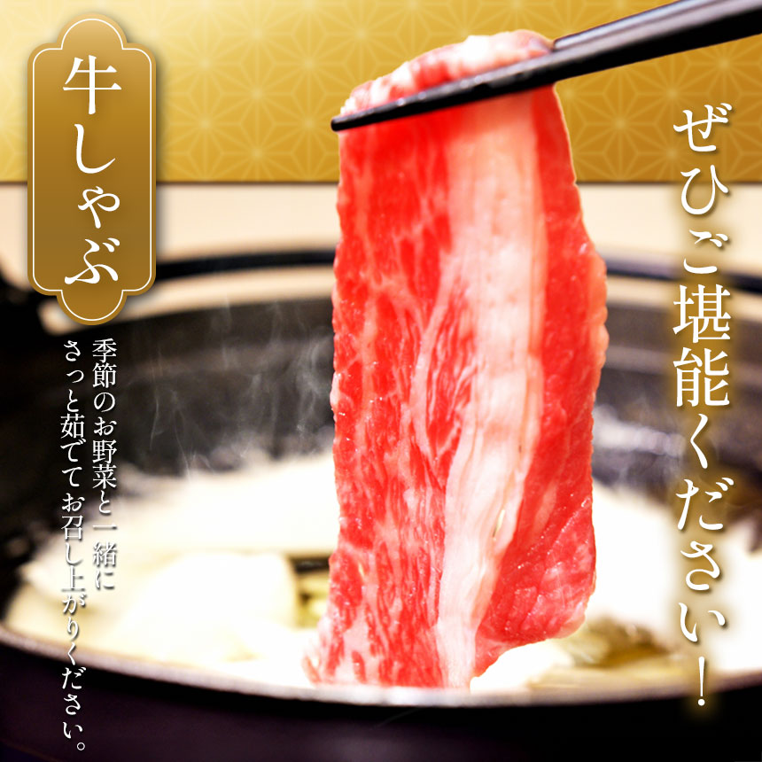 【定期便3回】栃木県産黒毛和牛切り落とし1.5kg