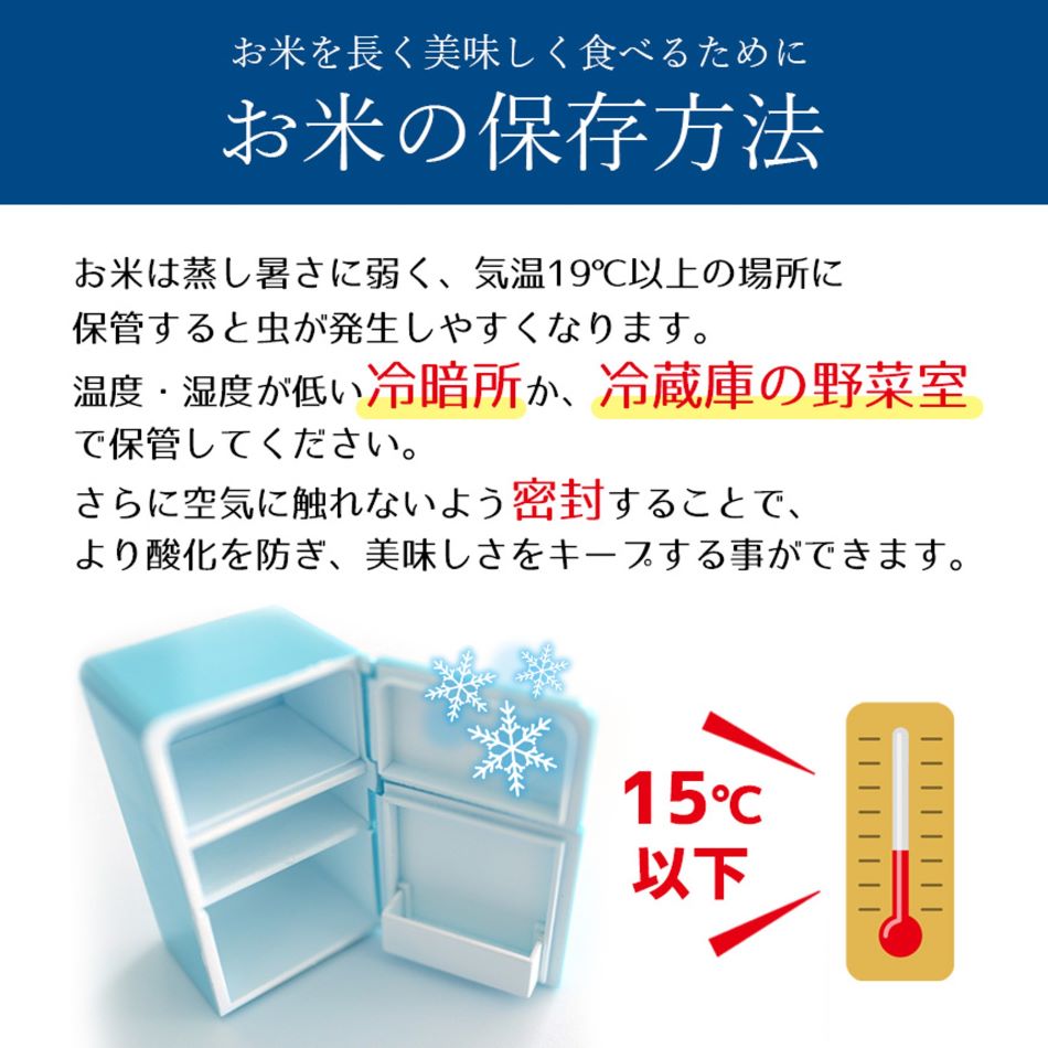 栃木県産 とちぎの星 10kg | 5kg小分け 新米 米 お米 こめ コメ とちぎのほし 精米 白米 特A 人気 お買い得 送料無料 限定 栃木県共通返礼品 令和7年産 栃木県産 栃木県 下野市